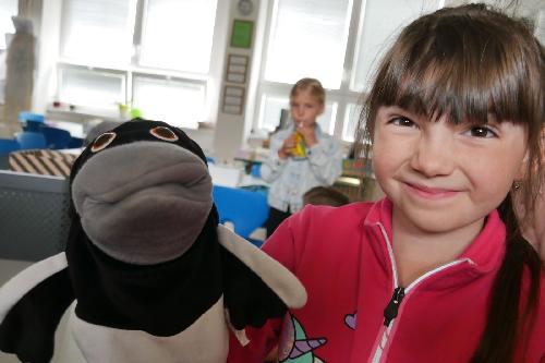 Praktické tipy pro učitele: Jak se připravit na hodinu AJ v 1. třídě